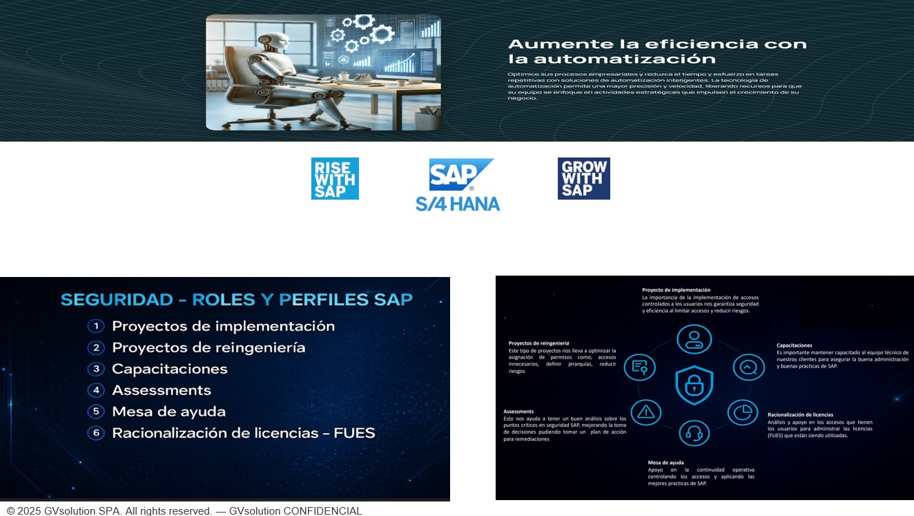 Consultoría SAP y seguridad